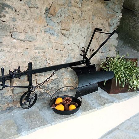 Agriturismo U'Spigu Nonna Annetta Nasino Εξωτερικό φωτογραφία