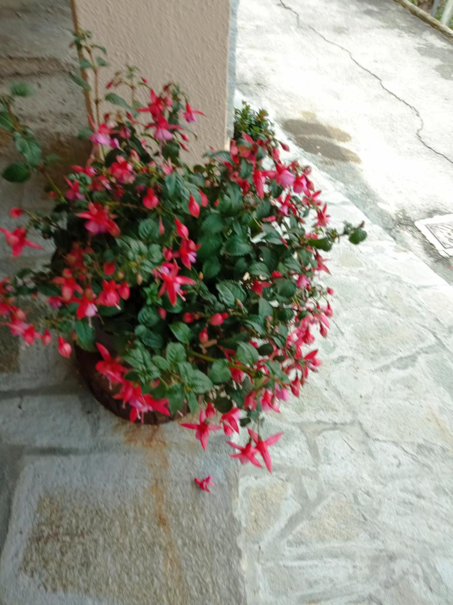 Agriturismo U'Spigu Nonna Annetta Nasino Εξωτερικό φωτογραφία