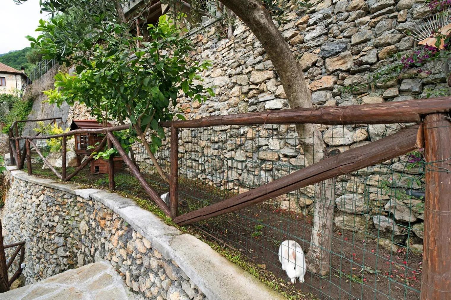 Agriturismo U'Spigu Nonna Annetta Nasino Εξωτερικό φωτογραφία